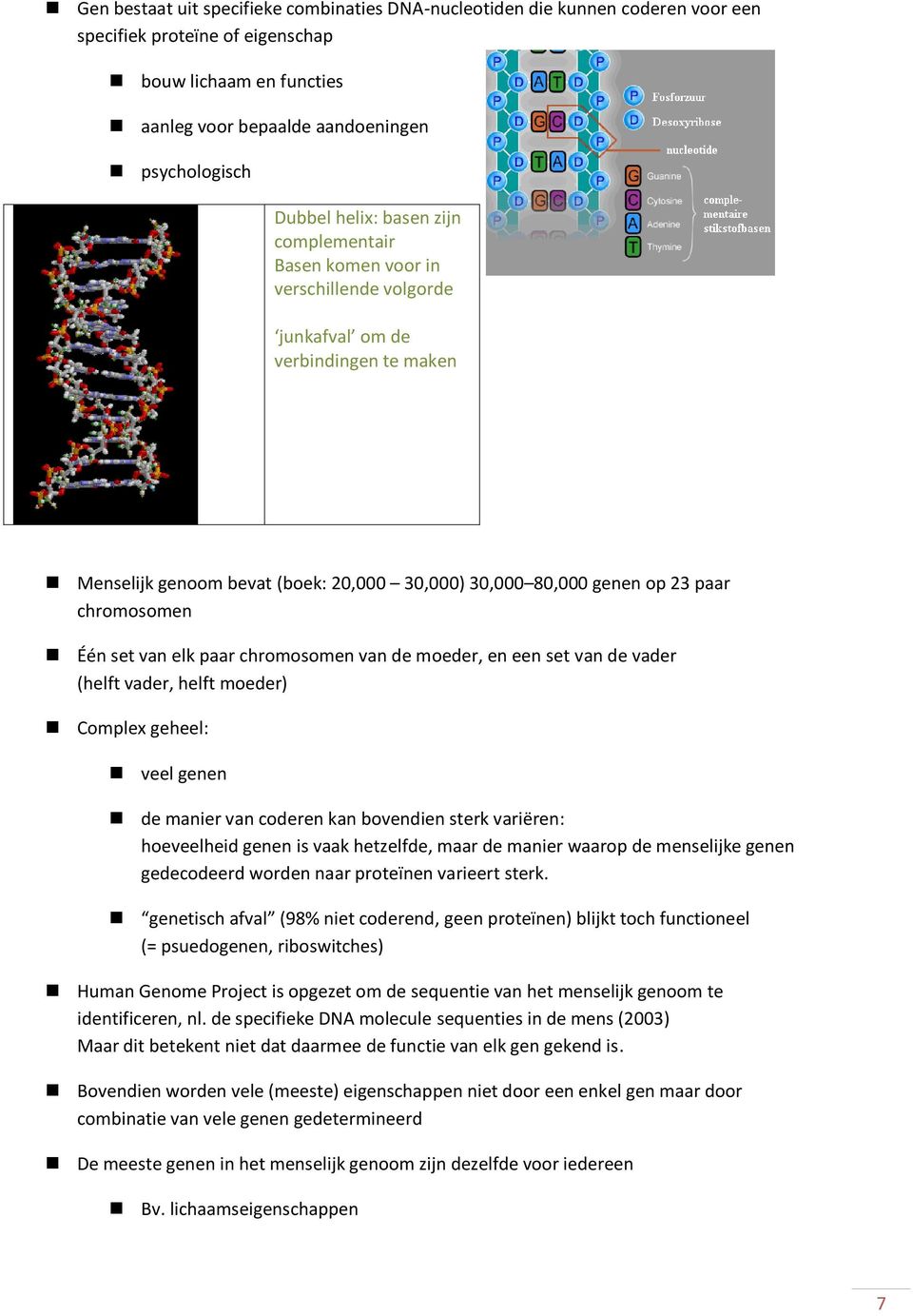 chromosomen Één set van elk paar chromosomen van de moeder, en een set van de vader (helft vader, helft moeder) Complex geheel: veel genen de manier van coderen kan bovendien sterk variëren: