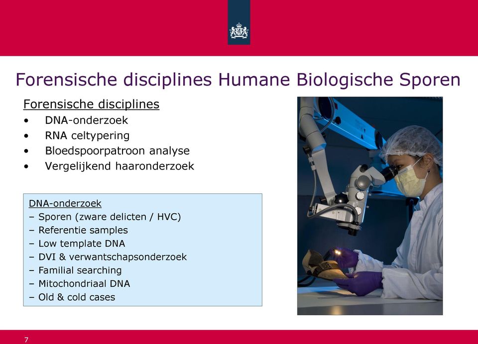 haaronderzoek DNA-onderzoek Sporen (zware delicten / HVC) Referentie samples Low