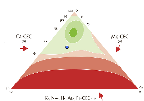 Fysisch De beoordeling van de structuur wordt gedaan op basis van de verhouding tussen calcium, magnesium en overige kationen aan het klei-humuscomplex.