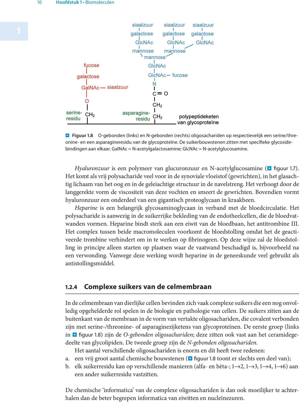 Hyaluronzuur is een polymeer van glucuronzuur en N-acetylglucosamine (. figuur 1.7).