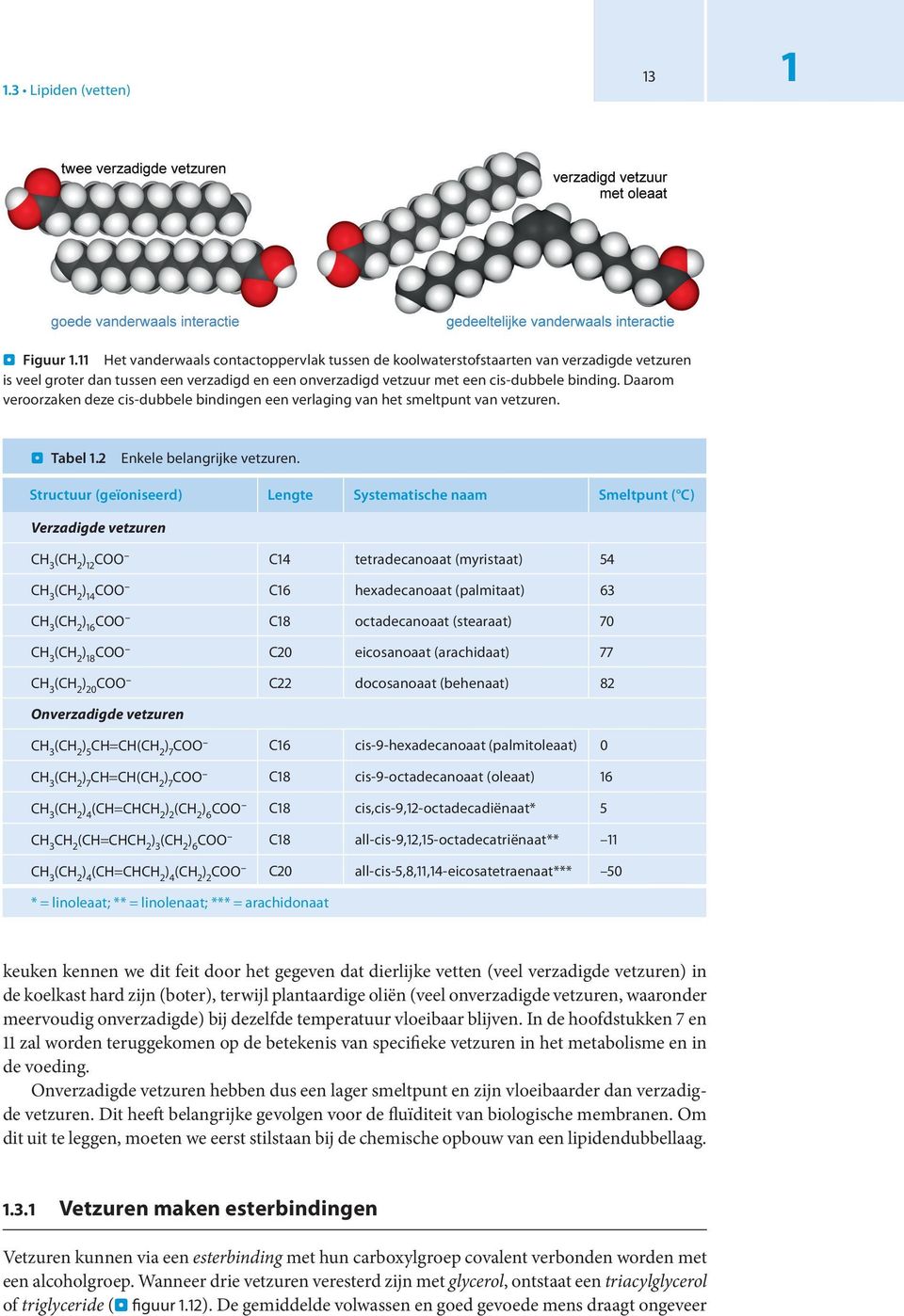 Daarom veroorzaken deze cis-dubbele bindingen een verlaging van het smeltpunt van vetzuren.. Tabel 1.2 Enkele belangrijke vetzuren.