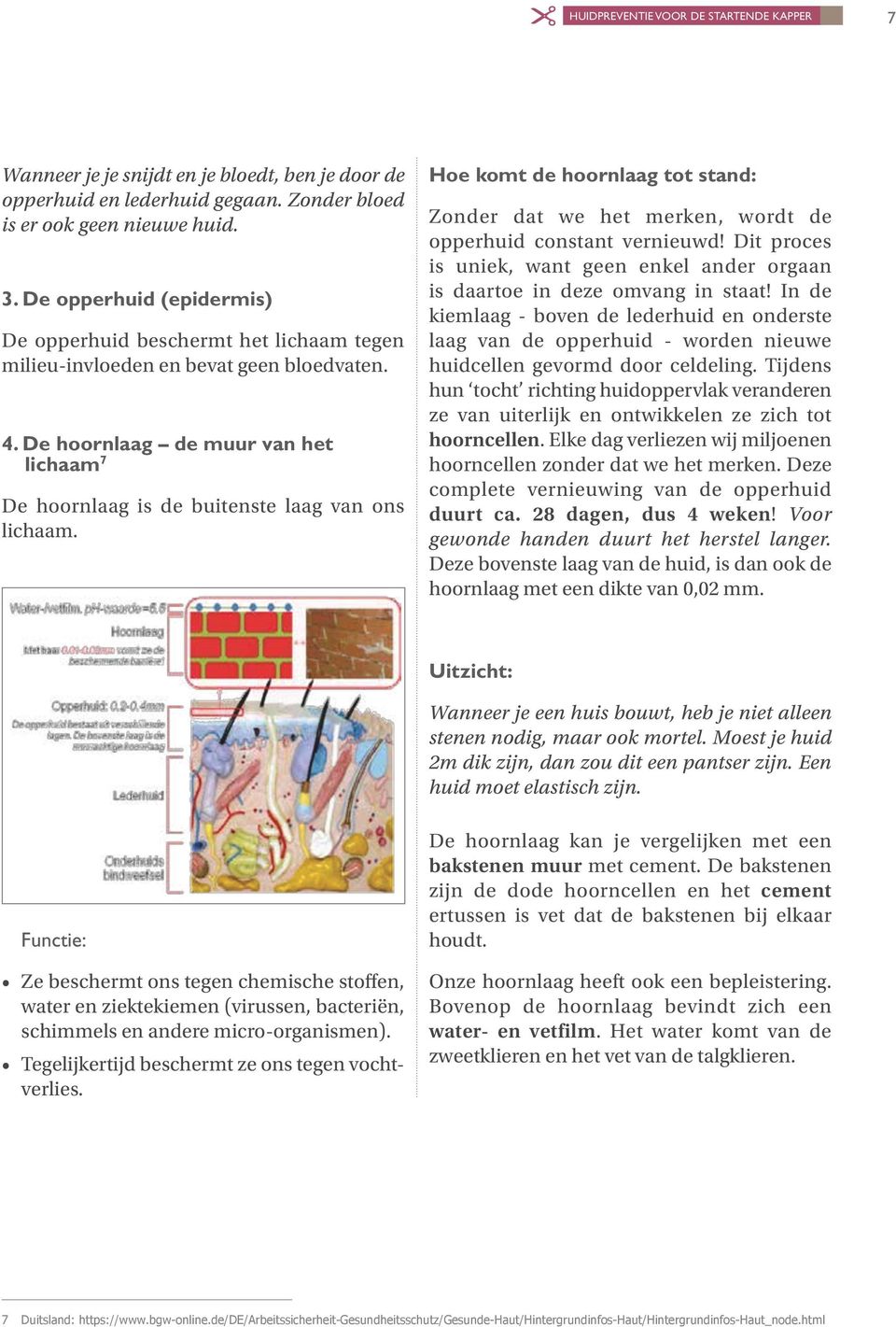 De opperhuid hoornlaag (epidermis) de muur van het lichaam 7 De opperhuid beschermt het lichaam tegen milieu-invloeden, en bevat geen bloedvaten. De hoornlaag is de buitenste laag van ons lichaam. 4.