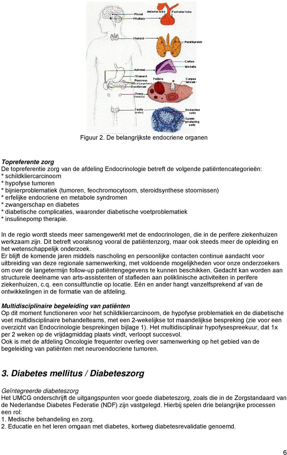 bijnierproblematiek (tumoren, feochromocytoom, steroidsynthese stoornissen) * erfelijke endocriene en metabole syndromen * zwangerschap en diabetes * diabetische complicaties, waaronder diabetische