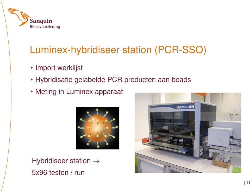 PCR producten aan beads Meting in Luminex