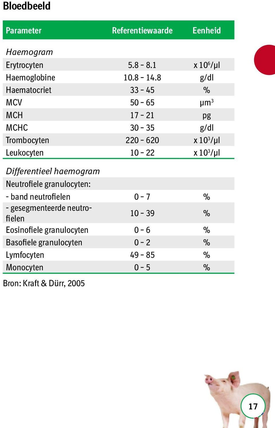 22 x 10 3 /μl Differentieel haemogram Neutrofiele granulocyten: - band neutrofielen 0 7 % - gesegmenteerde