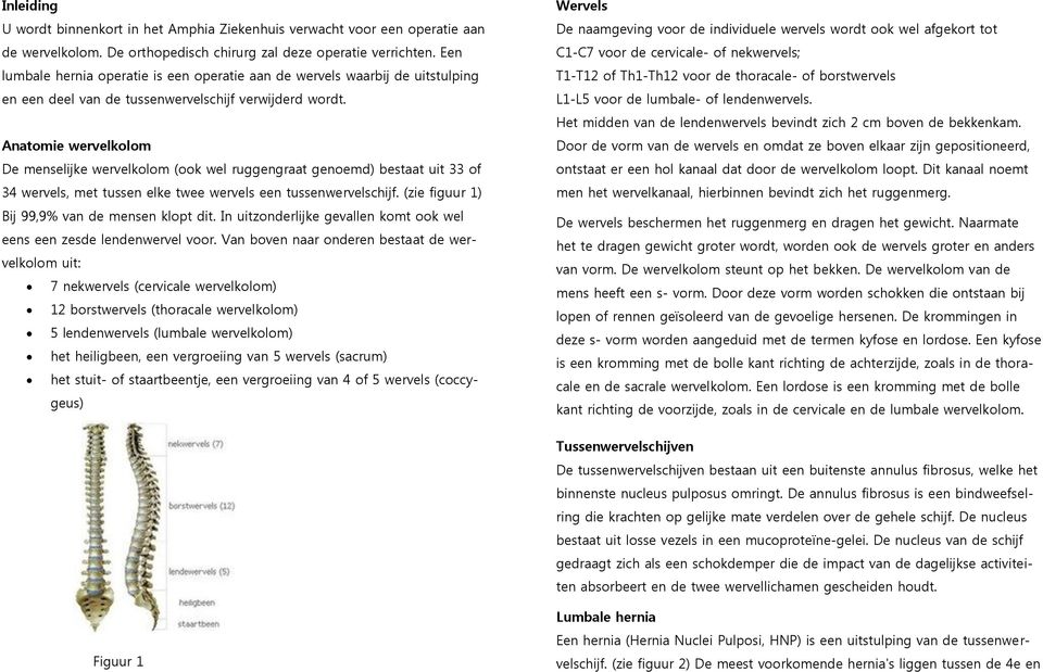 Anatomie wervelkolom De menselijke wervelkolom (ook wel ruggengraat genoemd) bestaat uit 33 of 34 wervels, met tussen elke twee wervels een tussenwervelschijf.