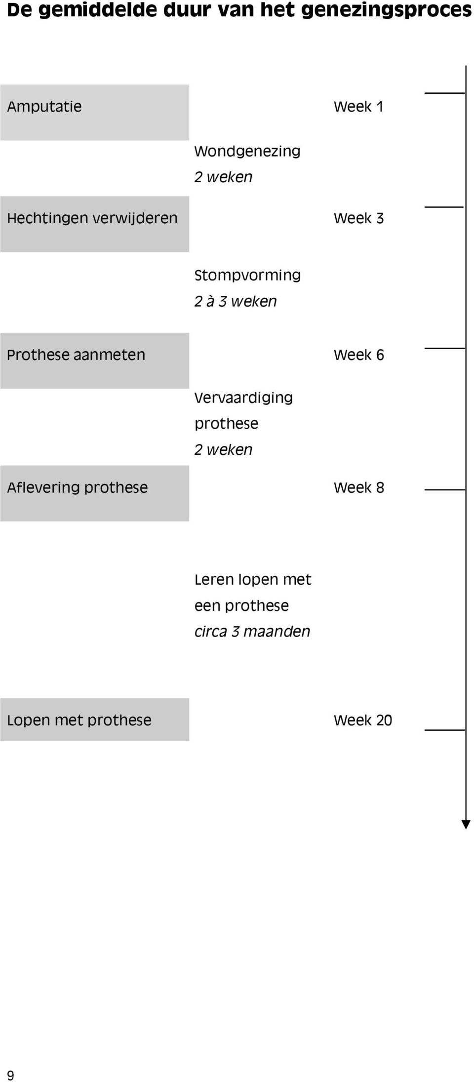 aanmeten Week 6 Vervaardiging prothese 2 weken Aflevering prothese Week