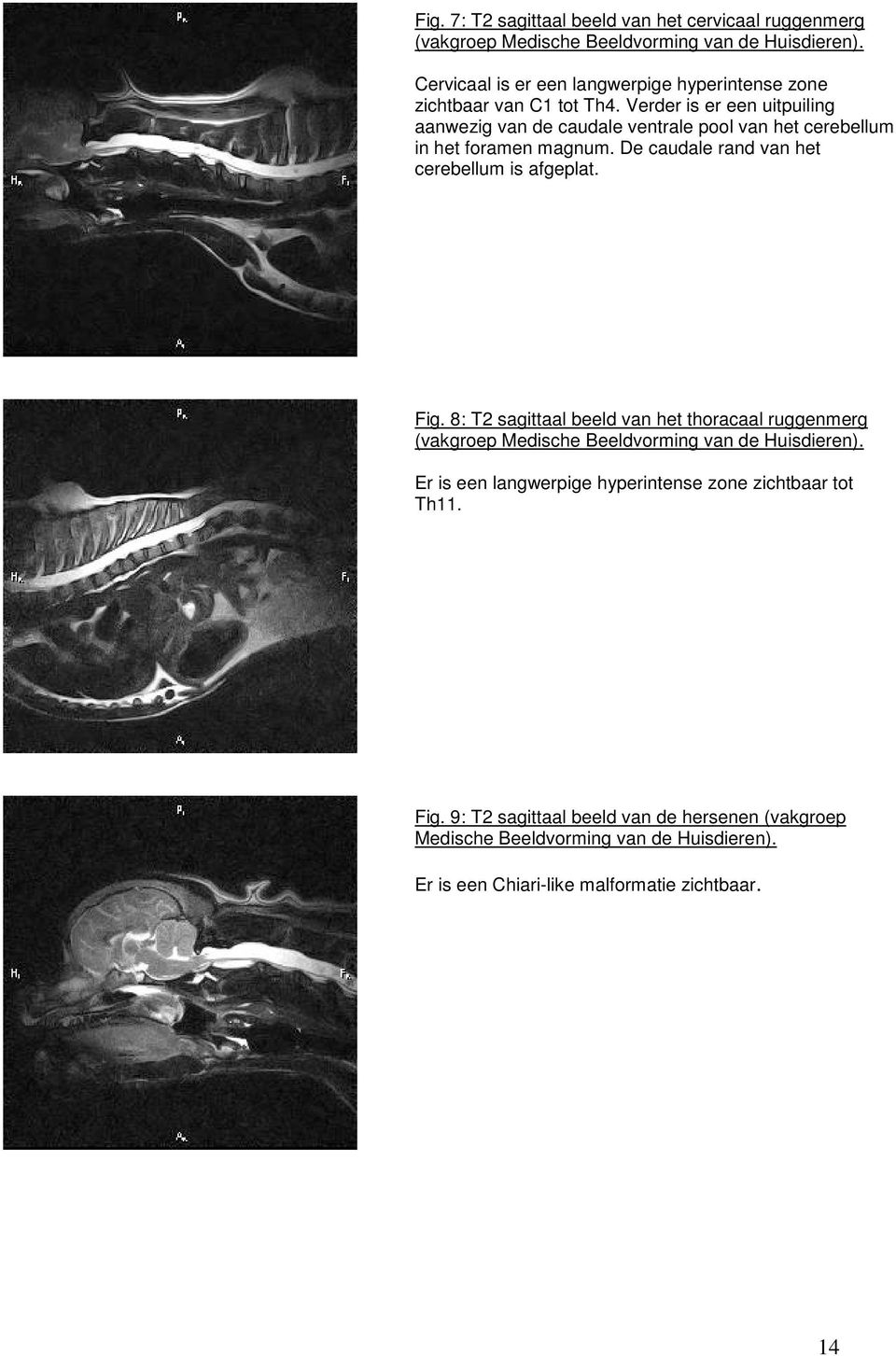 Verder is er een uitpuiling aanwezig van de caudale ventrale pool van het cerebellum in het foramen magnum. De caudale rand van het cerebellum is afgeplat. Fig.