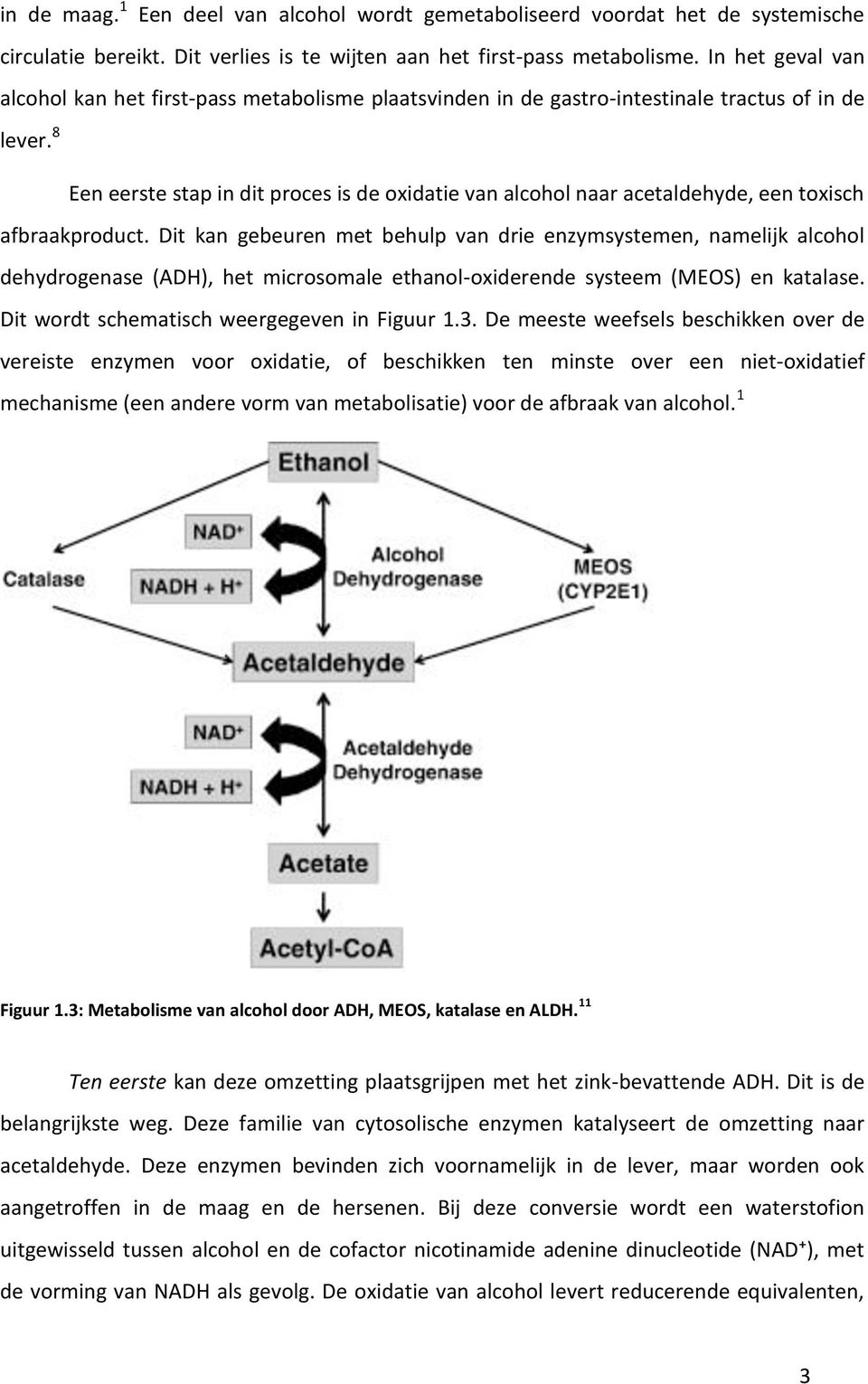 8 Een eerste stap in dit proces is de oxidatie van alcohol naar acetaldehyde, een toxisch afbraakproduct.