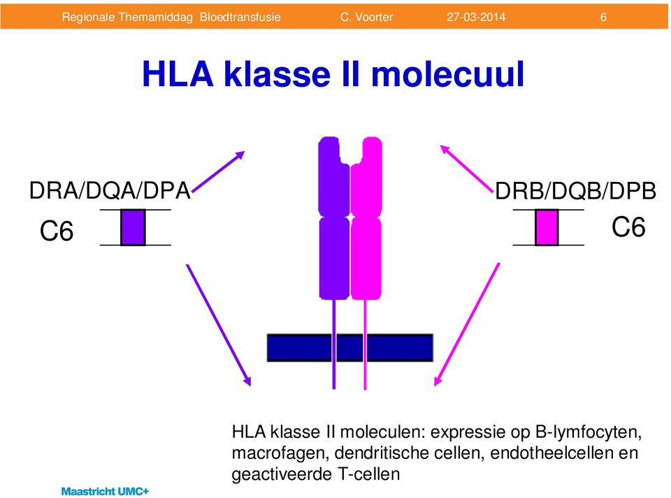 expressie op B-lymfocyten, macrofagen,