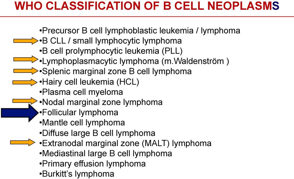 waldenström ) Splenic marginal zone B cell lymphoma Hairy cell leukemia (HCL) Plasma cell myeloma Nodal marginal zone lymphoma