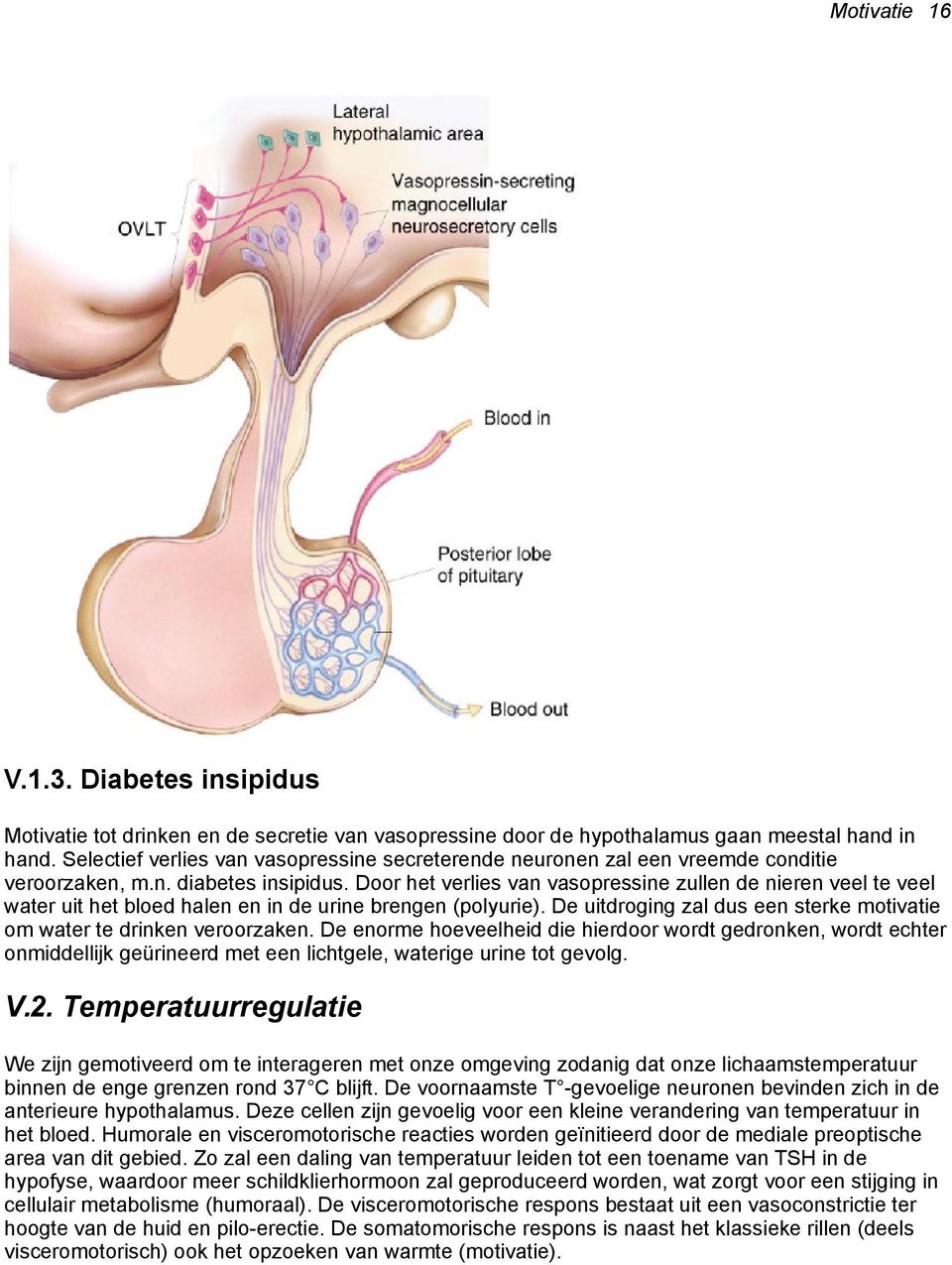 Door het verlies van vasopressine zullen de nieren veel te veel water uit het bloed halen en in de urine brengen (polyurie). De uitdroging zal dus een sterke motivatie om water te drinken veroorzaken.