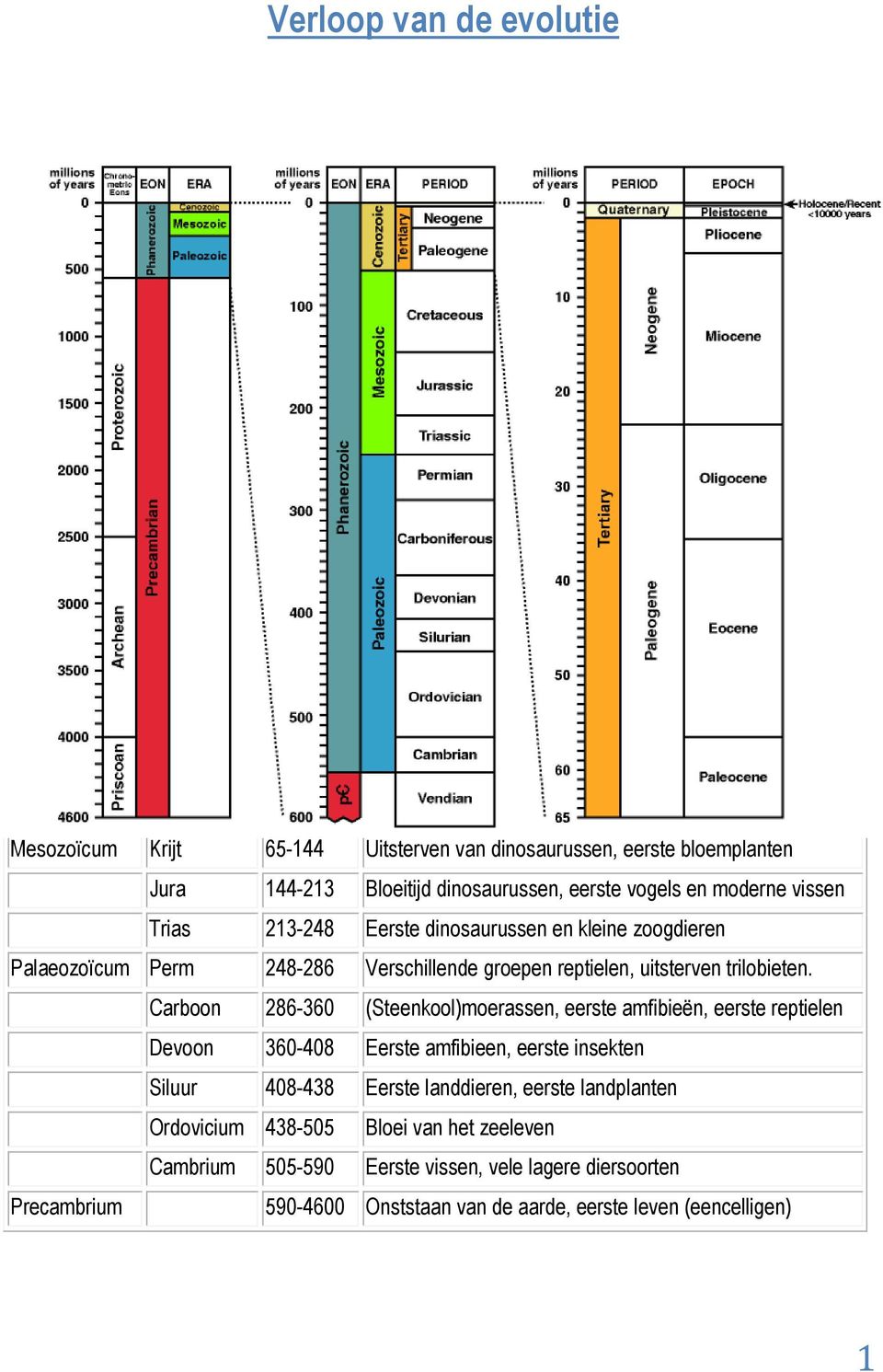 Palaeozoïcum Perm 248-286 Verschillende groepen reptielen, uitsterven trilobieten.