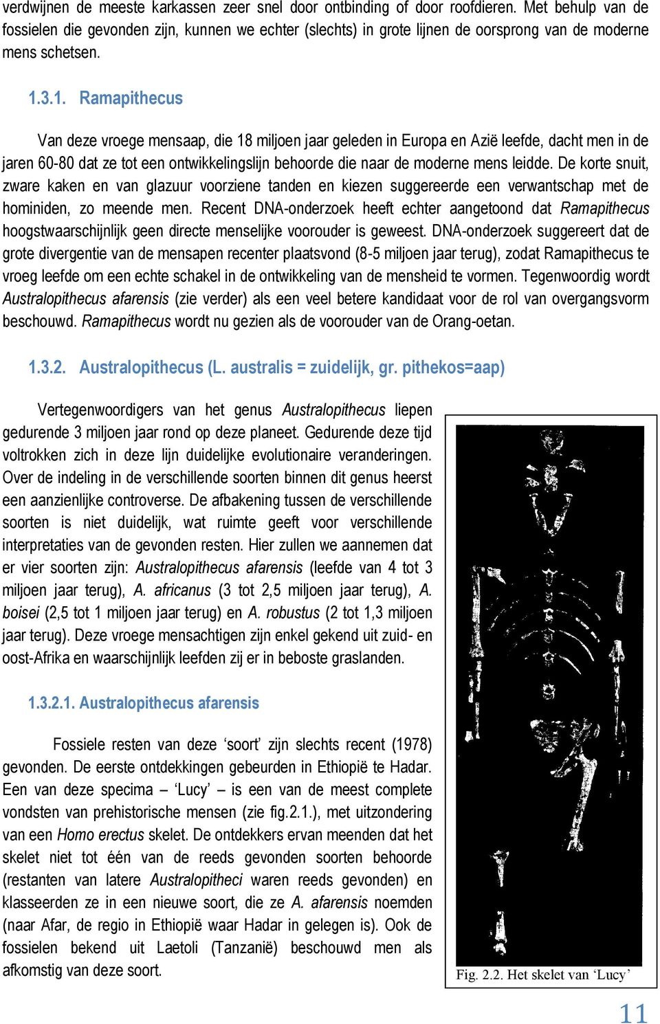 3.1. Ramapithecus Van deze vroege mensaap, die 18 miljoen jaar geleden in Europa en Azië leefde, dacht men in de jaren 60-80 dat ze tot een ontwikkelingslijn behoorde die naar de moderne mens leidde.