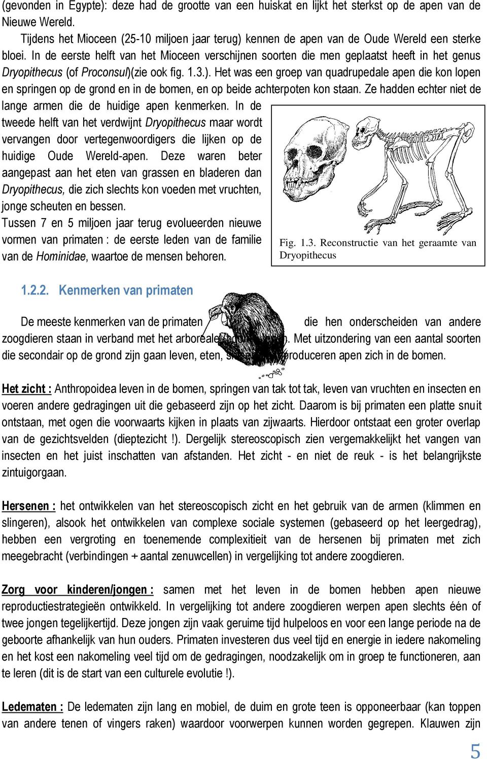 In de eerste helft van het Mioceen verschijnen soorten die men geplaatst heeft in het genus Dryopithecus (of Proconsul)(