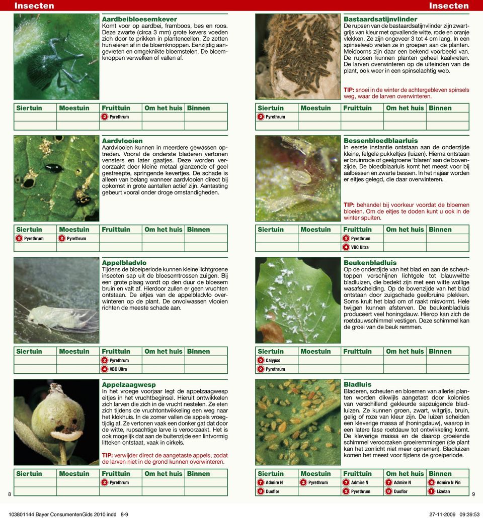 Insecten Bastaardsatijnvlinder De rupsen van de bastaardsatijnvlinder zijn zwartgrijs van kleur met opvallende witte, rode en oranje vlekken. Ze zijn ongeveer 3 tot 4 cm lang.