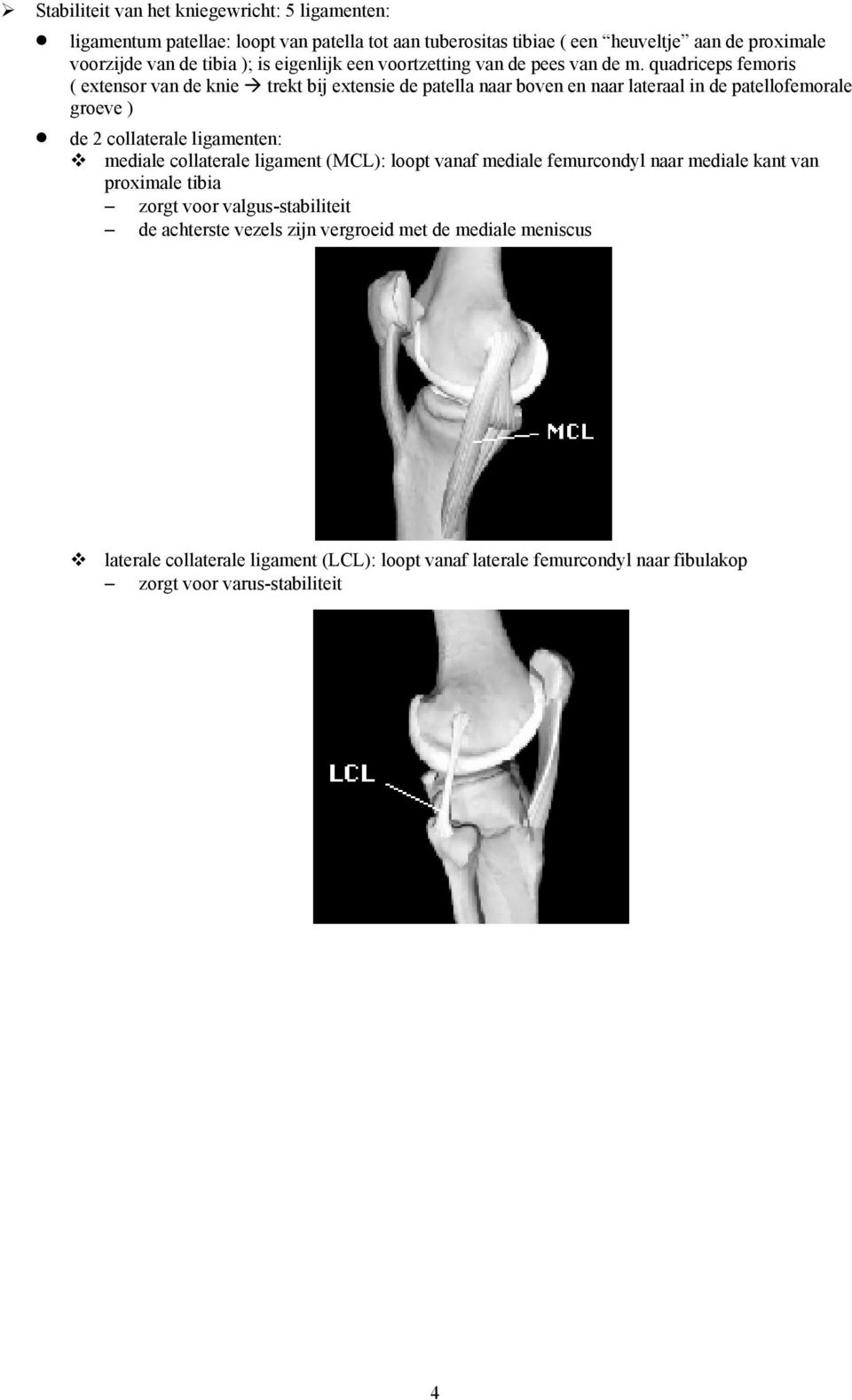 quadriceps femoris ( extensor van de knie trekt bij extensie de patella naar boven en naar lateraal in de patellofemorale groeve ) de 2 collaterale ligamenten: mediale