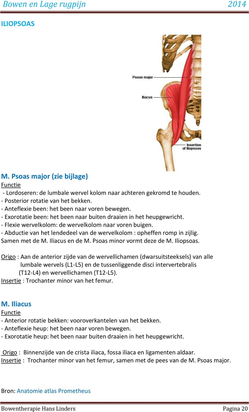 - Abductie van het lendedeel van de wervelkolom : opheffen romp in zijlig. Samen met de M. Iliacus en de M. Psoas minor vormt deze de M. Iliopsoas.