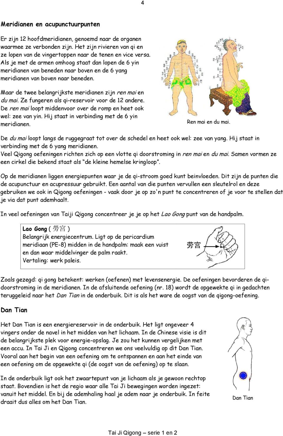 Ze fungeren als qi-reservoir voor de 12 andere. De ren mai loopt middenvoor over de romp en heet ook wel: zee van yin. Hij staat in verbinding met de 6 yin meridianen. Ren mai en du mai.