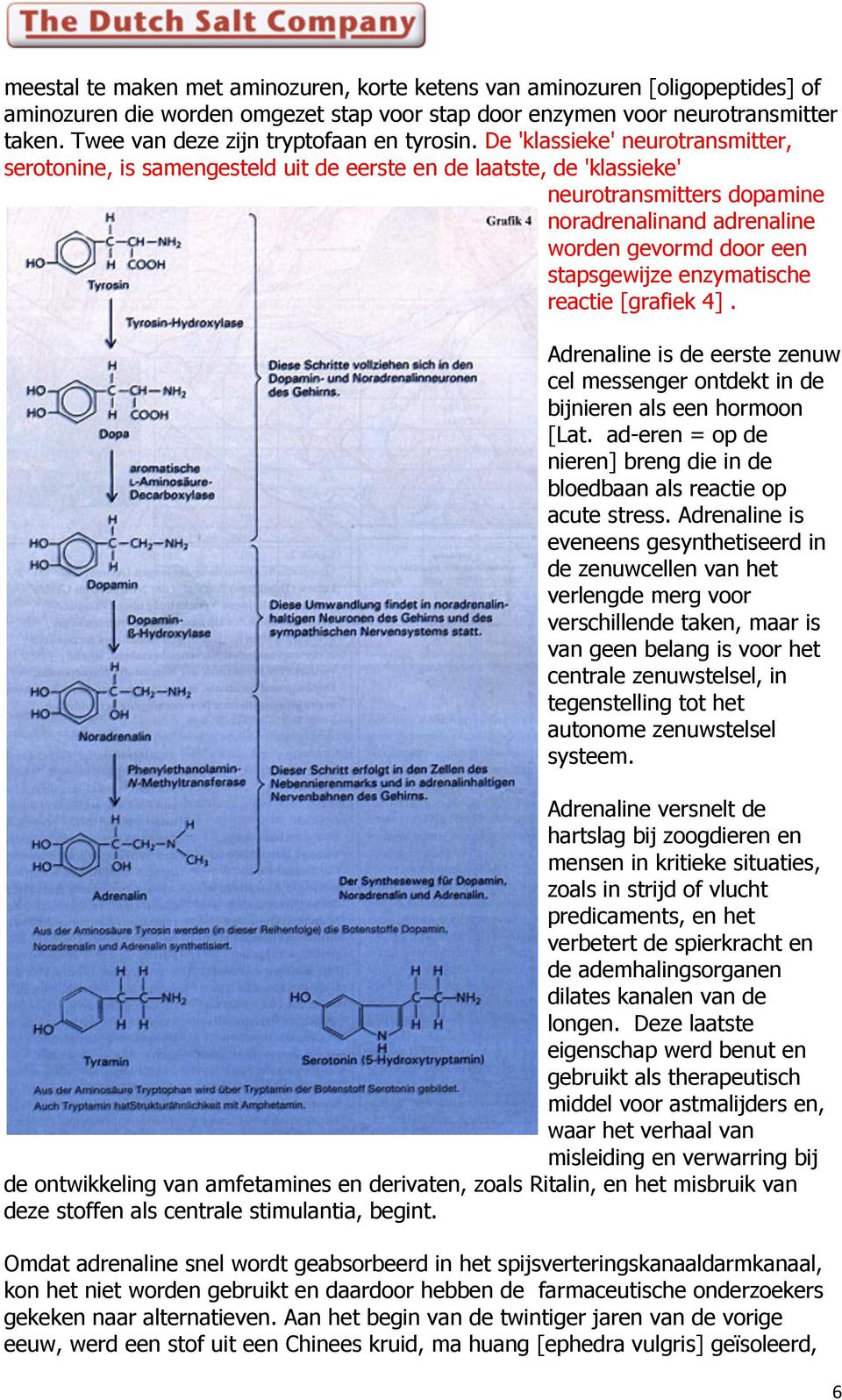 De 'klassieke' neurotransmitter, serotonine, is samengesteld uit de eerste en de laatste, de 'klassieke' neurotransmitters dopamine noradrenalinand adrenaline worden gevormd door een stapsgewijze