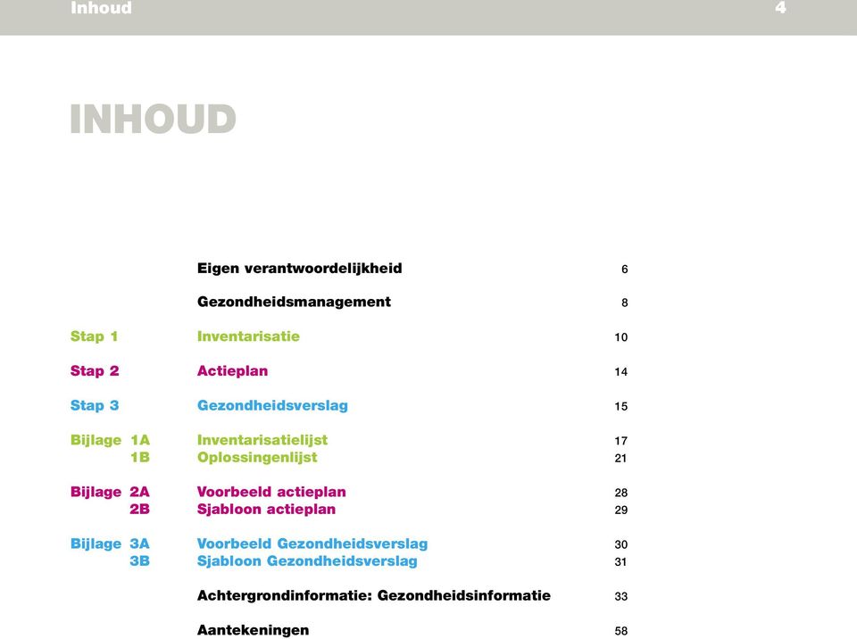 Oplossingenlijst 21 Bijlage 2A Voorbeeld actieplan 28 2B Sjabloon actieplan 29 Bijlage 3A Voorbeeld