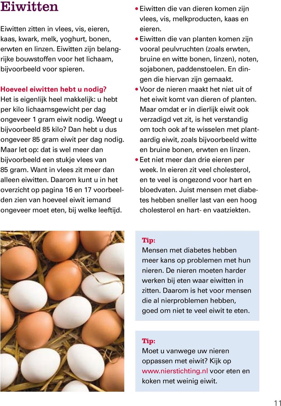 Dan hebt u dus ongeveer 85 gram eiwit per dag nodig. Maar let op: dat is wel meer dan bijvoorbeeld een stukje vlees van 85 gram. Want in vlees zit meer dan alleen eiwitten.