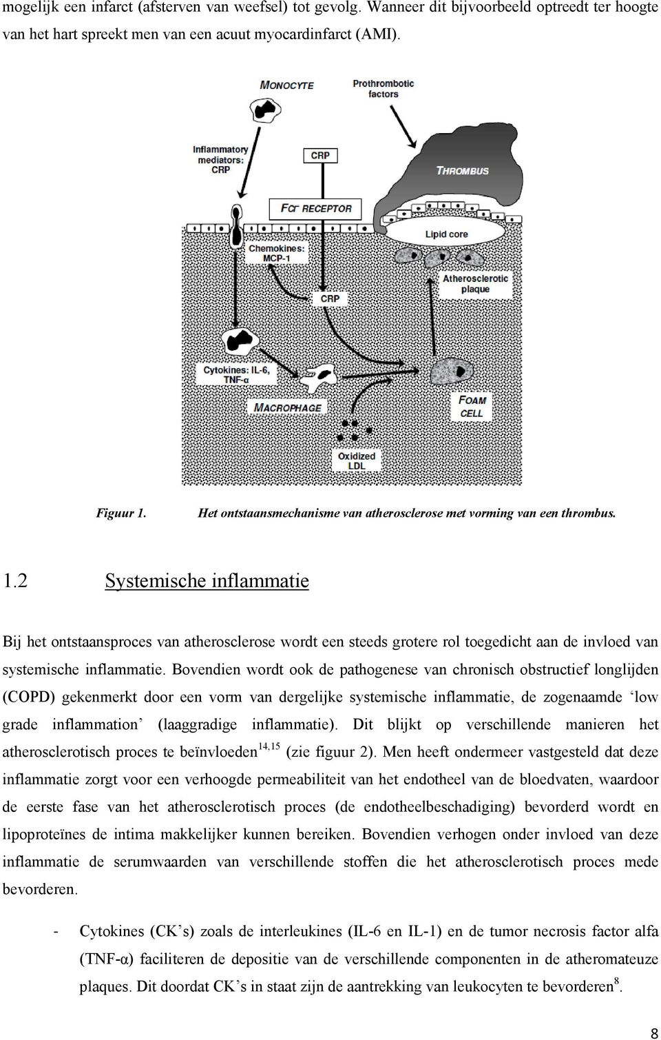 2 Systemische inflammatie Bij het ontstaansproces van atherosclerose wordt een steeds grotere rol toegedicht aan de invloed van systemische inflammatie.