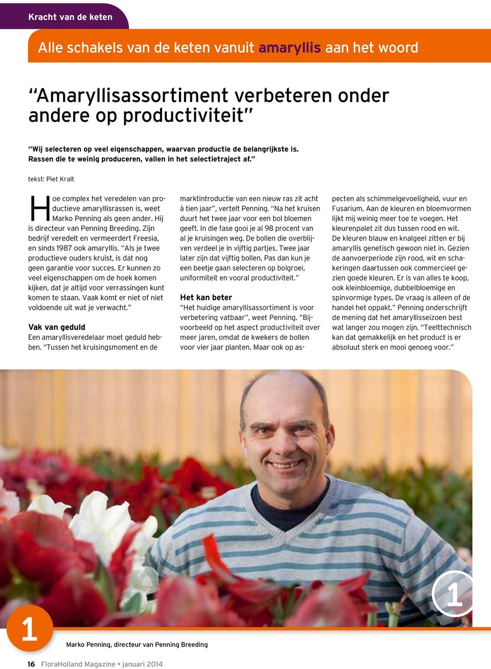 Hij is directeur van Penning Breeding. Zijn bedrijf veredelt en vermeerdert Freesia, en sinds 1987 ook amaryllis. Als je twee productieve ouders kruist, is dat nog geen garantie voor succes.