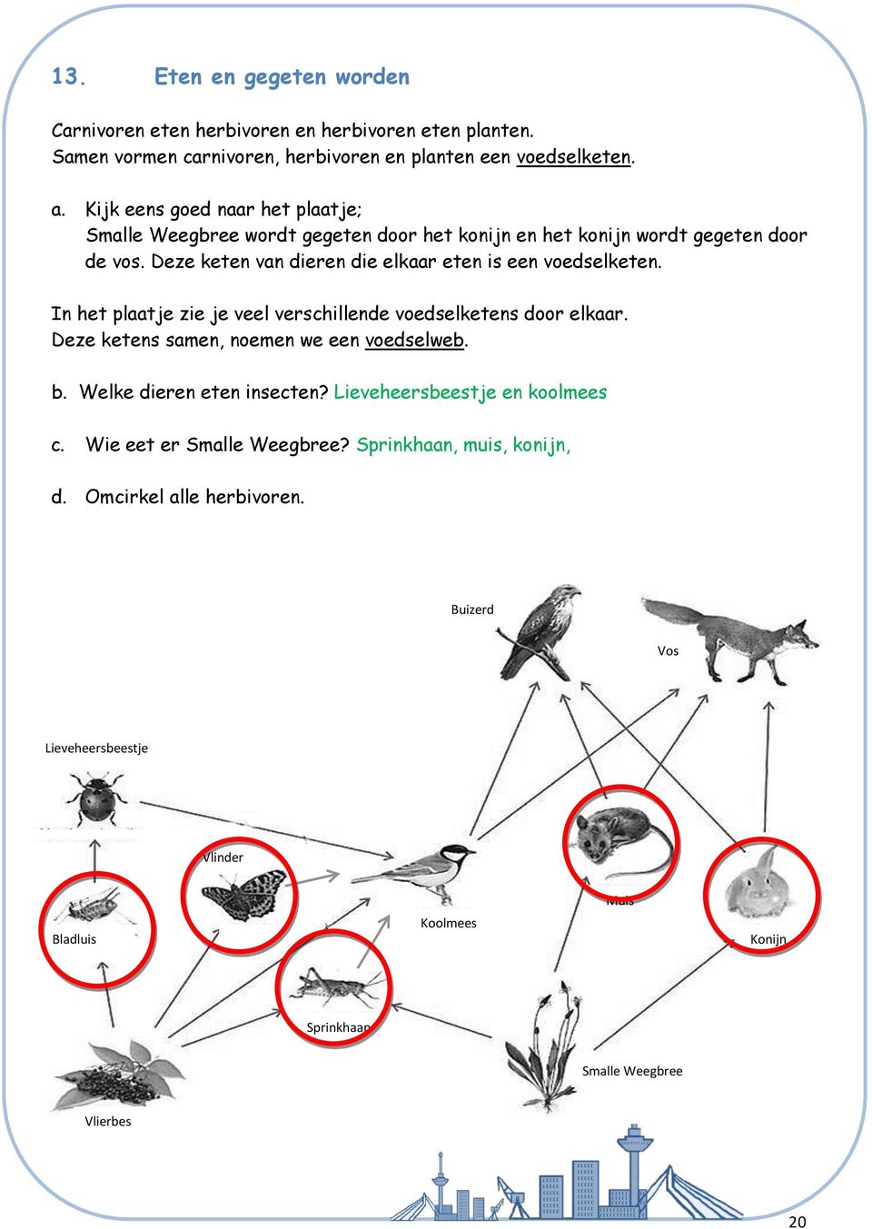 Deze keten van dieren die elkaar eten is een voedselketen. In het plaatje zie je veel verschillende voedselketens door elkaar. Deze ketens samen, noemen we een voedselweb. b.