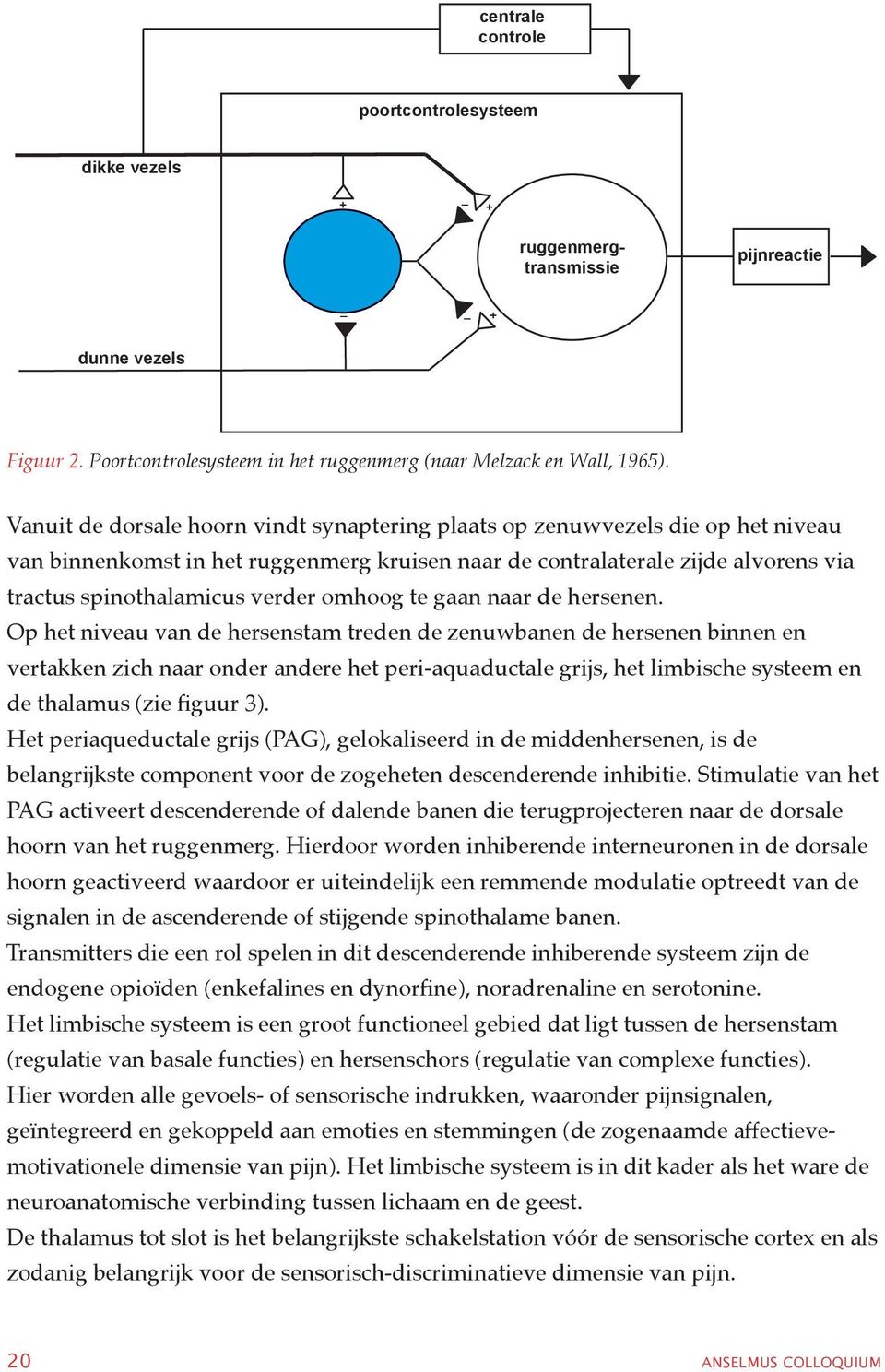 omhoog te gaan naar de hersenen.