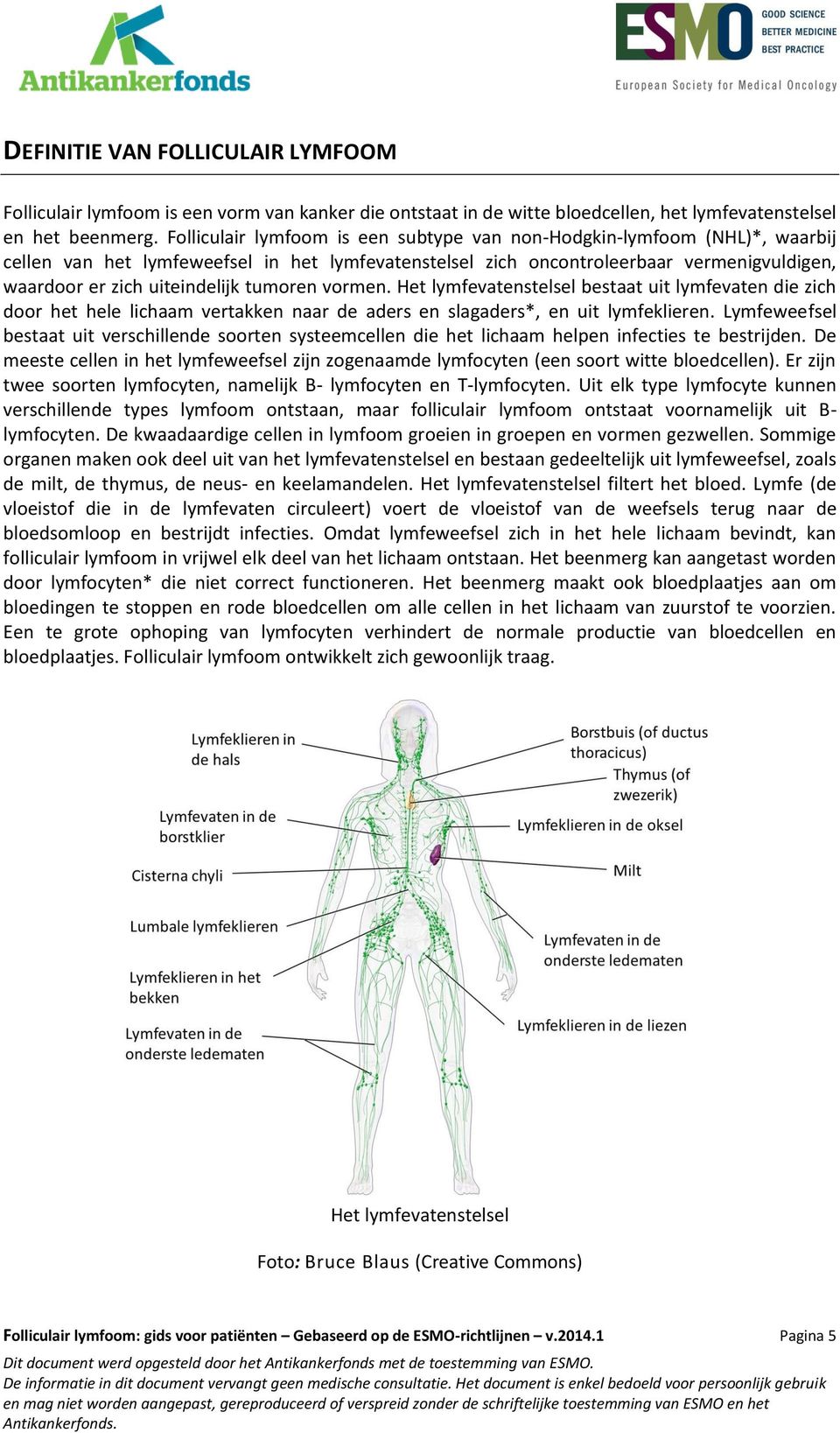 tumoren vormen. Het lymfevatenstelsel bestaat uit lymfevaten die zich door het hele lichaam vertakken naar de aders en slagaders*, en uit lymfeklieren.