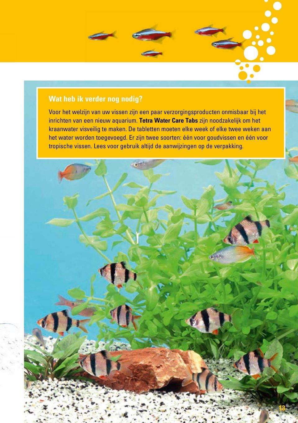 aquarium. Tetra Water Care Tabs zijn noodzakelijk om het kraanwater visveilig te maken.
