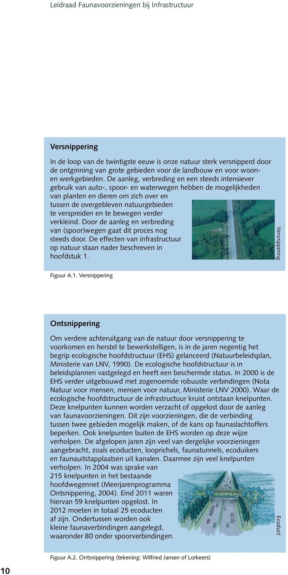 verspreiden en te bewegen verder verkleind. Door de aanleg en verbreding van (spoor)wegen gaat dit proces nog steeds door.