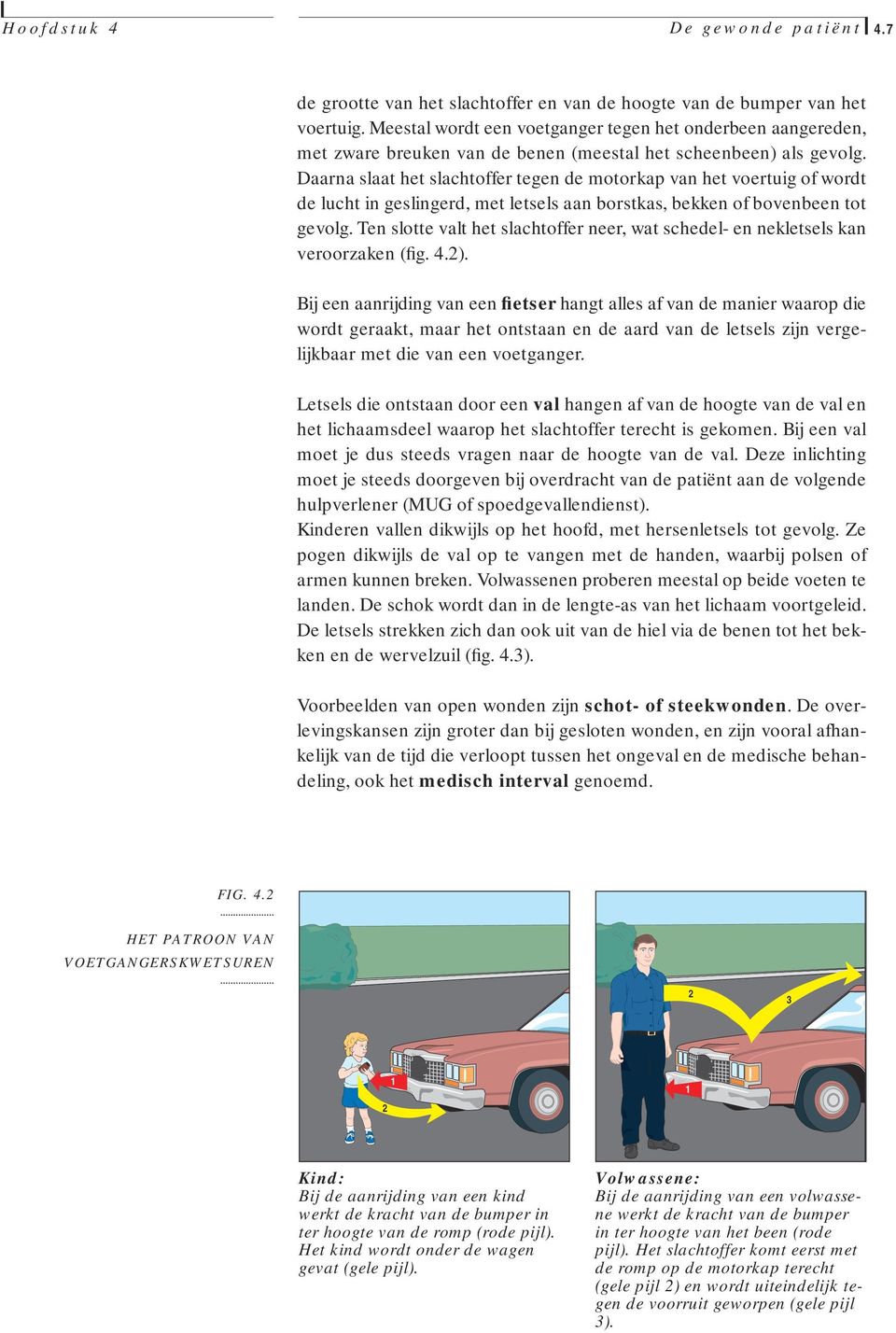 Daarna slaat het slachtoffer tegen de motorkap van het voertuig of wordt de lucht in geslingerd, met letsels aan borstkas, bekken of bovenbeen tot gevolg.