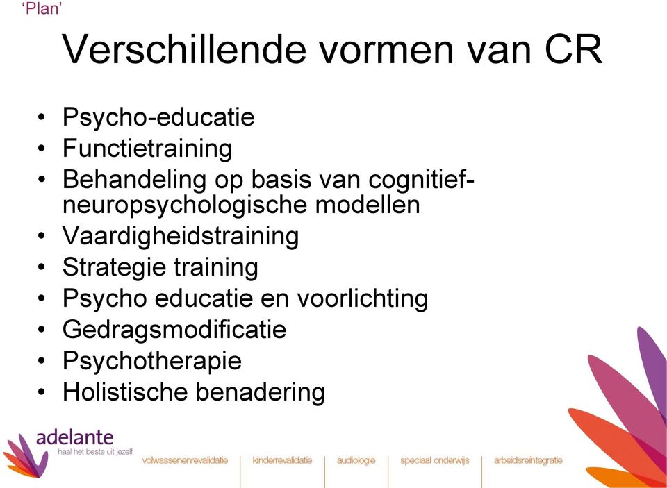 cognitiefneuropsychologische modellen Vaardigheidstraining