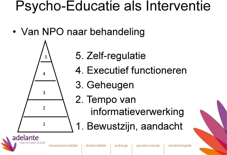 Executief functioneren 3. Geheugen 2.