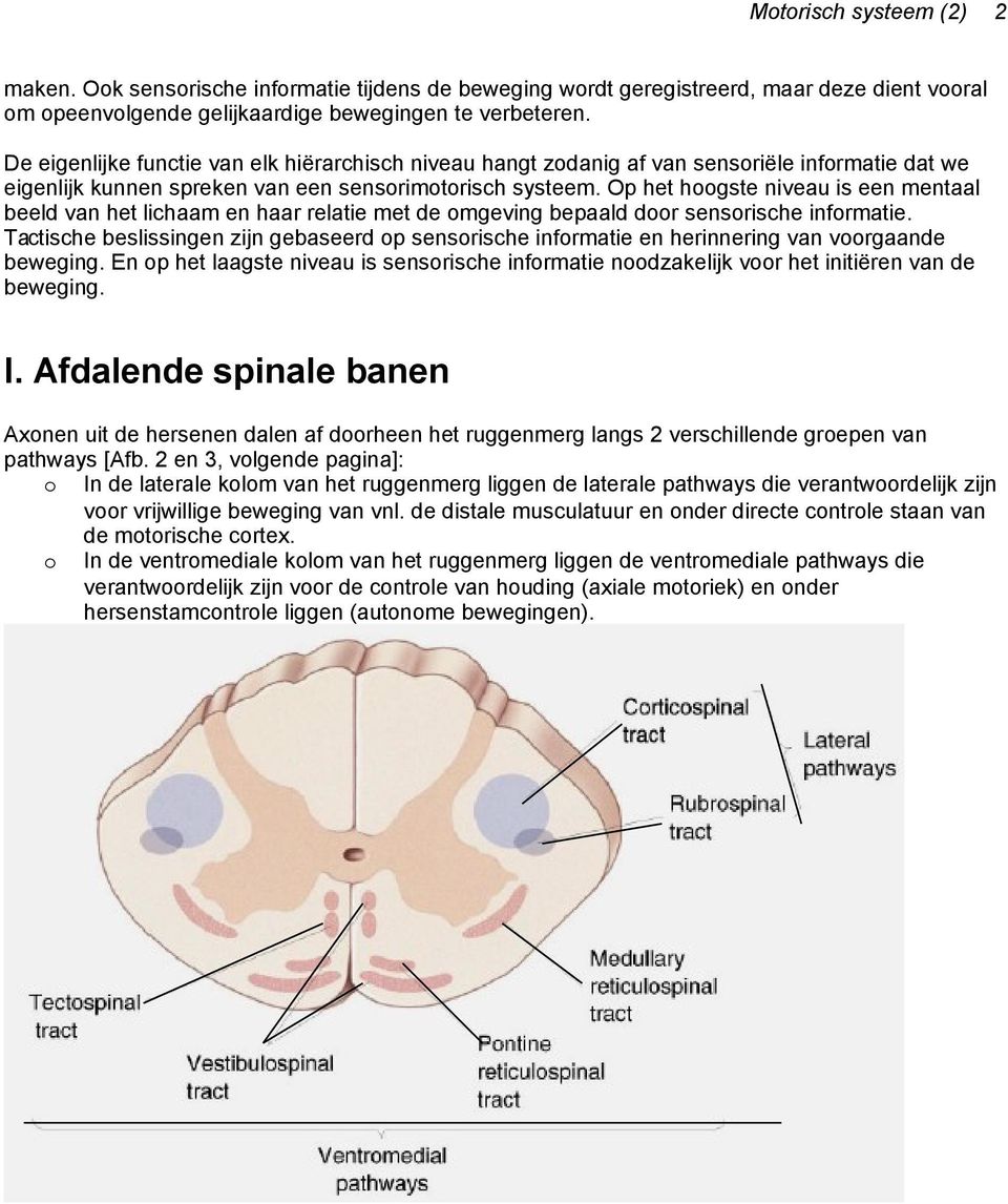 Op het hoogste niveau is een mentaal beeld van het lichaam en haar relatie met de omgeving bepaald door sensorische informatie.