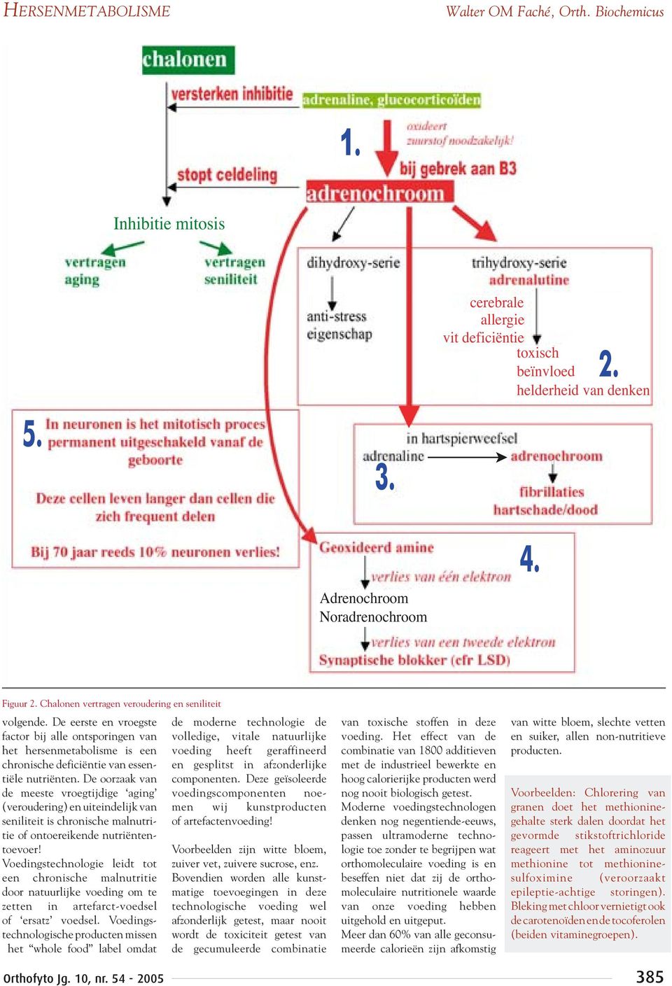 De oorzaak van de meeste vroegtijdige aging (veroudering) en uiteindelijk van seniliteit is chronische malnutritie of ontoereikende nutriëntentoevoer!