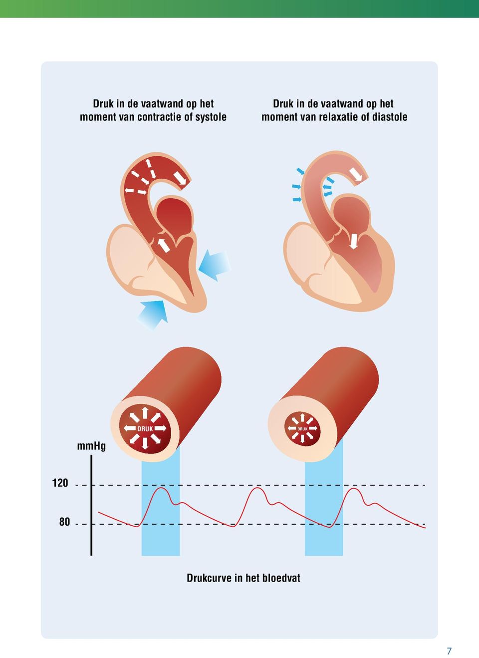 diastole mmhg DRUK DRUK 120 80 Drukcurve