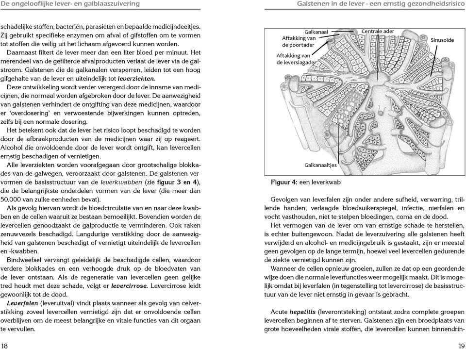 Het merendeel van de gefilterde afvalproducten verlaat de lever via de galstroom. Galstenen die de galkanalen versperren, leiden tot een hoog gifgehalte van de lever en uiteindelijk tot leverziekten.