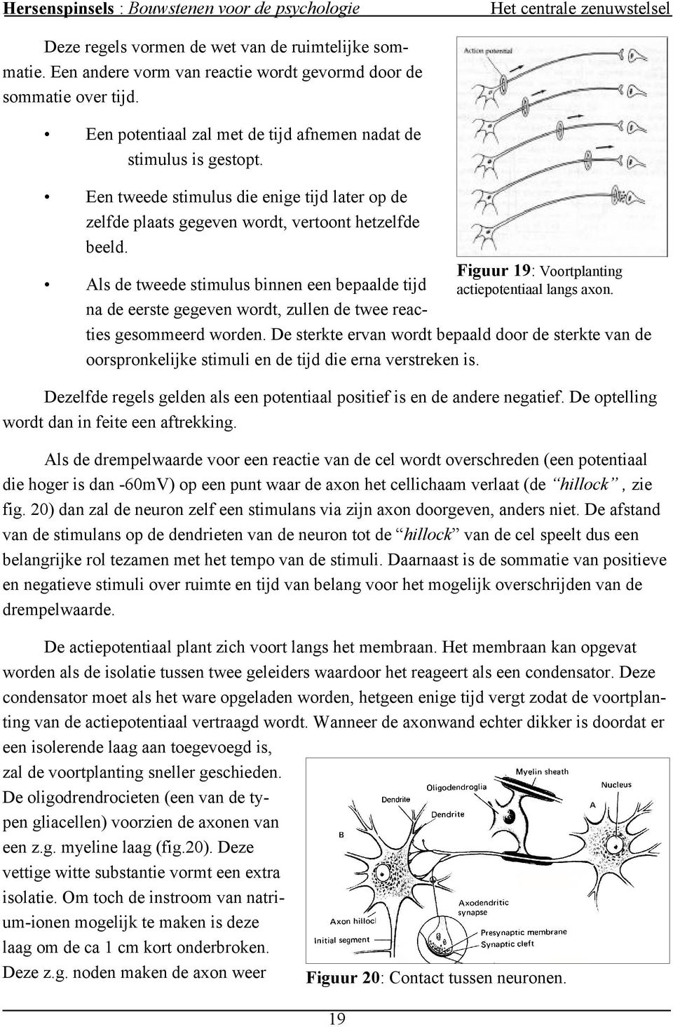 Als de tweede stimulus binnen een bepaalde tijd na de eerste gegeven wordt, zullen de twee reacties gesommeerd worden.