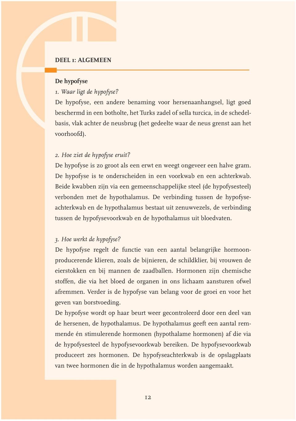 grenst aan het voorhoofd). 2. Hoe ziet de hypofyse eruit? De hypofyse is zo groot als een erwt en weegt ongeveer een halve gram. De hypofyse is te onderscheiden in een voorkwab en een achterkwab.