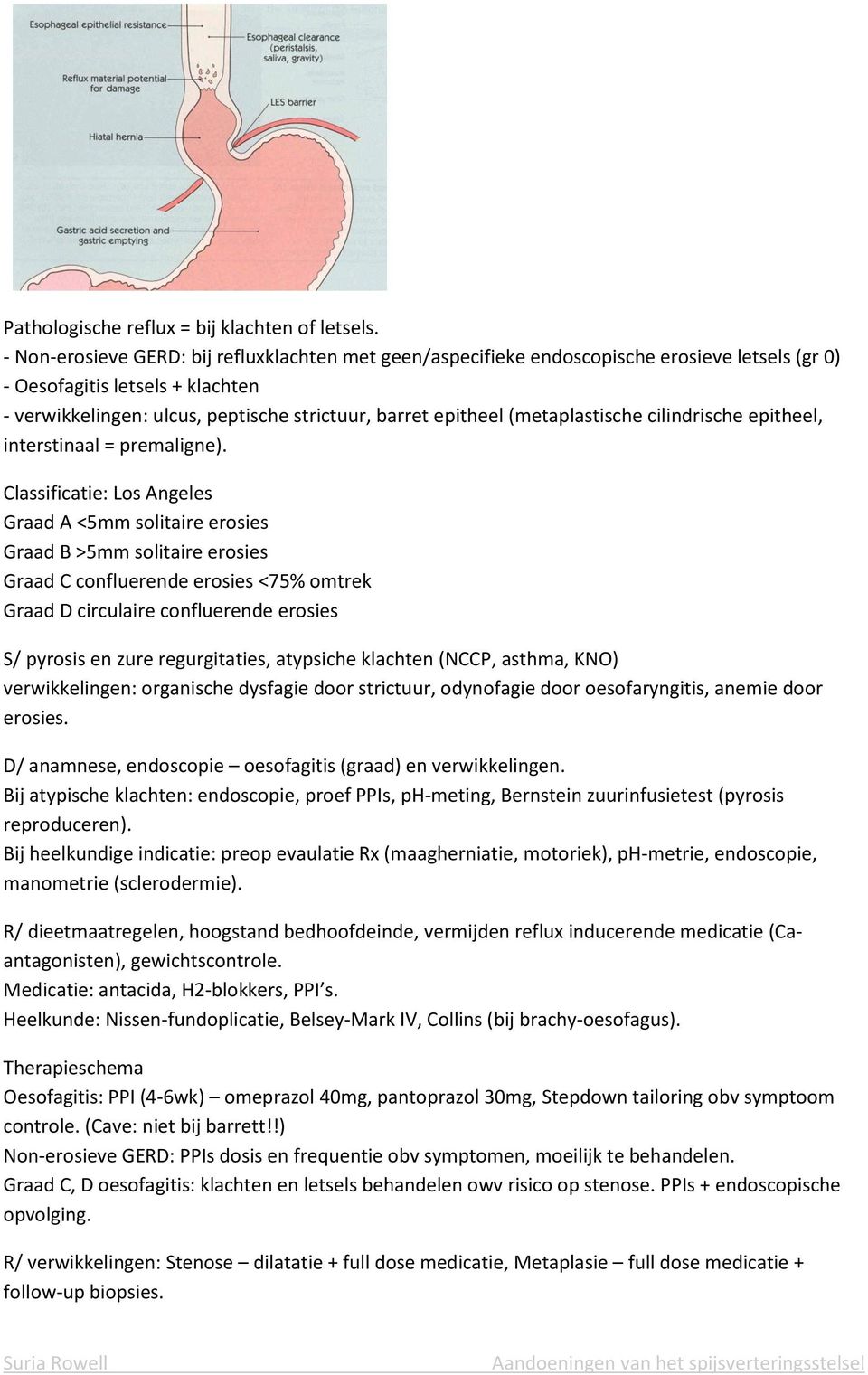 (metaplastische cilindrische epitheel, interstinaal = premaligne).