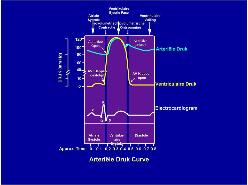 Aortaklep gesloten AV Kleppen open Arteriële Druk Ventriculaire Druk P R T Electrocardiogram Q S