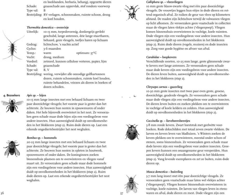 Thermobia domestica ovenvisje Uiterlijk: 10-15 mm, torpedovormig, donkergrijs gevlekt geschubd, lange antennes, drie lange staartharen, behaard, geen vleugels, toefjes haren op lichaam Gedrag: