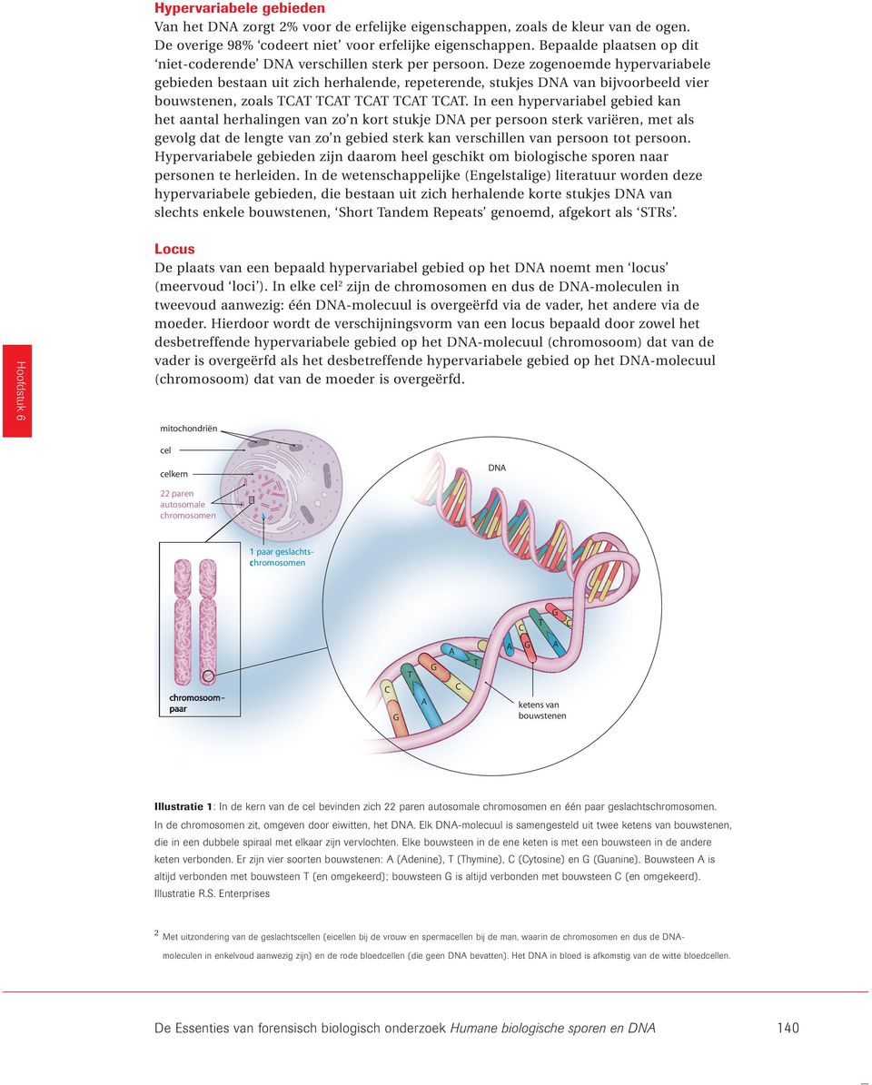 $ U %# het aantal herhalingen van zo n kort stukje DNA per persoon sterk variëren, met als gevolg dat de lengte van zo n gebied sterk kan verschillen van persoon tot persoon.