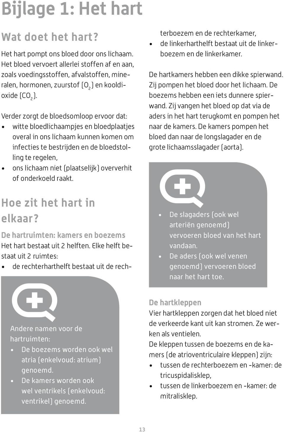 Verder zorgt de bloedsomloop ervoor dat: witte bloedlichaampjes en bloedplaatjes overal in ons lichaam kunnen komen om infecties te bestrijden en de bloedstolling te regelen, ons lichaam niet