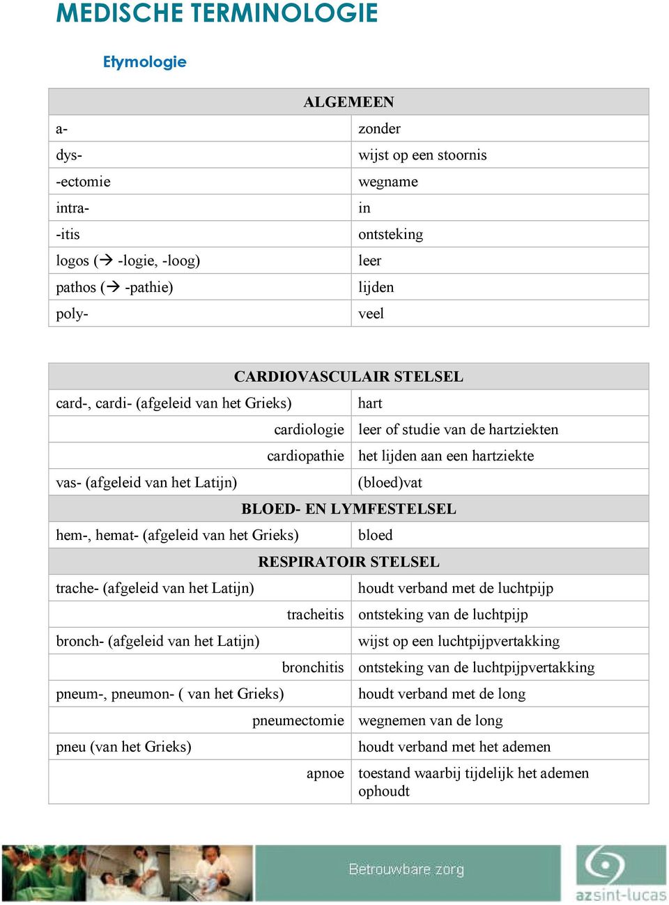 BLOED- EN LYMFESTELSEL hem-, hemat- (afgeleid van het Grieks) bloed RESPIRATOIR STELSEL trache- (afgeleid van het Latijn) houdt verband met de luchtpijp tracheitis ontsteking van de luchtpijp bronch-