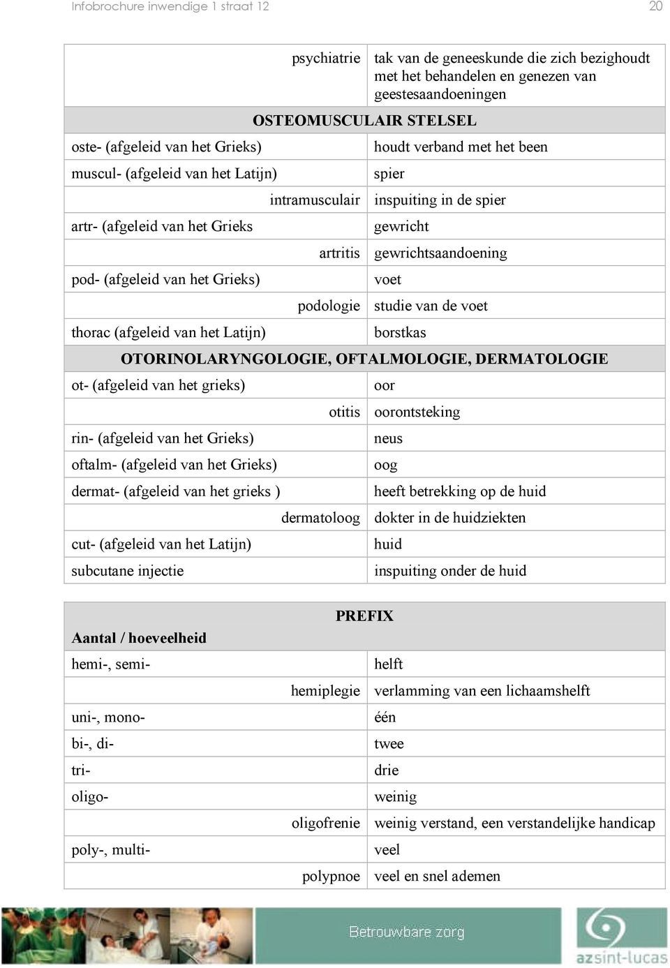 van het Grieks) voet podologie studie van de voet thorac (afgeleid van het Latijn) borstkas OTORINOLARYNGOLOGIE, OFTALMOLOGIE, DERMATOLOGIE ot- (afgeleid van het grieks) oor otitis oorontsteking rin-