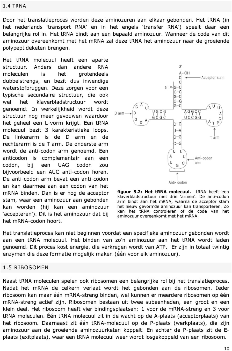 Het trna molecuul heeft een aparte structuur. Anders dan andere RNA moleculen is het grotendeels dubbelstrengs, en bezit dus inwendige waterstofbruggen.